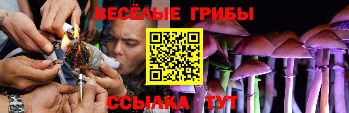 Псилоцибиновые грибы Cubensis  Вход с VPN  купить наркотик  Тобольск 